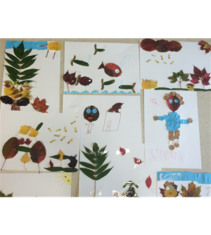 feuilles   1